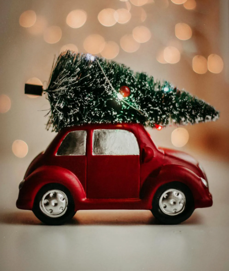 Finding Joy in Simplicity